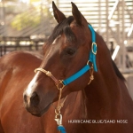 Classic Nylon Hybrid Horse Halter